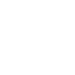 ce logo Burien